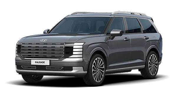 현대 디 올 뉴 팰리세이드